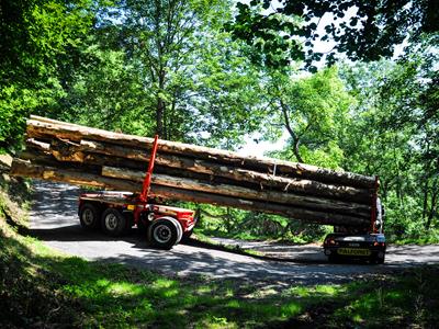 3-axle self-following trailer designed for transporting logs.