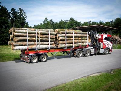 dwuosiowa naczepa zoptymalizowana pod kątem transportu krótkich kłód.