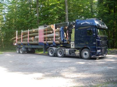 TimberMAX puede adaptarse de forma individual a los requisitos de transporte. A continuación figuran solo algunas posibilidades de equipamiento:
1 - 2 x extensible (telescópico)
Traviesas portantes EXTE E144 o E9
Grúa para carga de maderos montada sobre Timbermax
3-5 pilas de madera