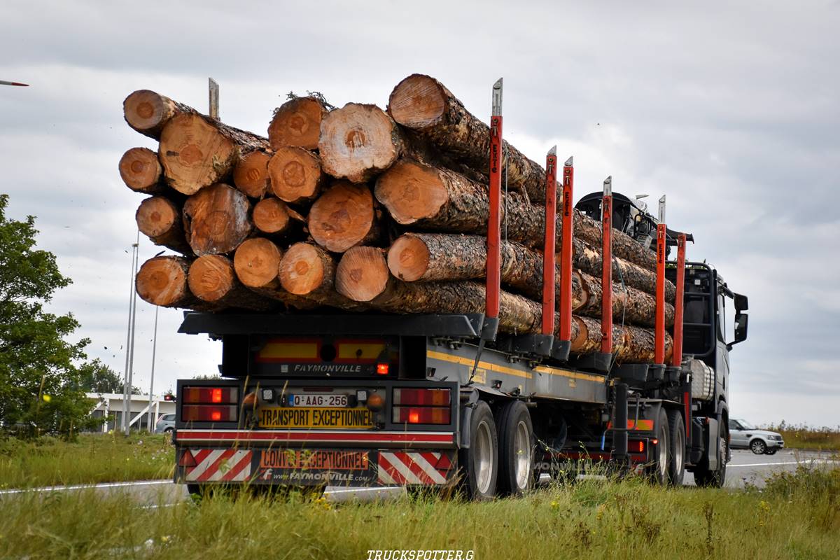 Remorque pour bois avec basculement manuel Express 500 - Rosselli Snc