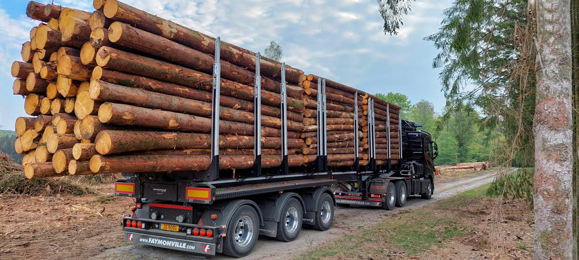 Remorque pour bois avec basculement manuel Express 500 - Rosselli Snc