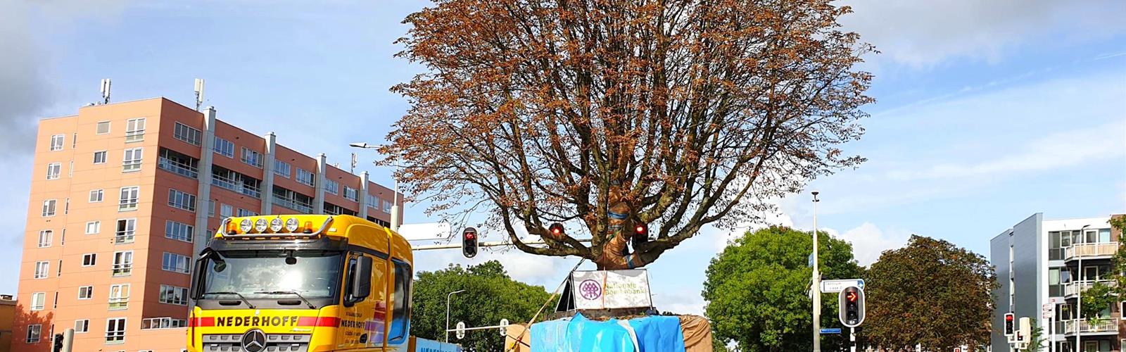 Putting down new roots - Success Stories
