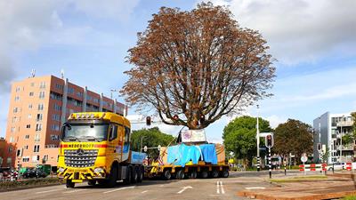 Opnieuw wortel schieten - Succesverhalen