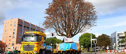 Opnieuw wortel schieten - Activiteitsgebieden