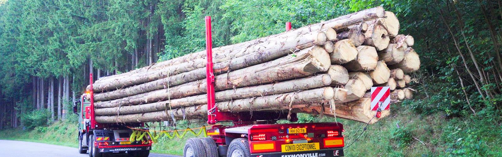 Une passion pour la sylviculture