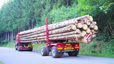 A passion for forestry - Home