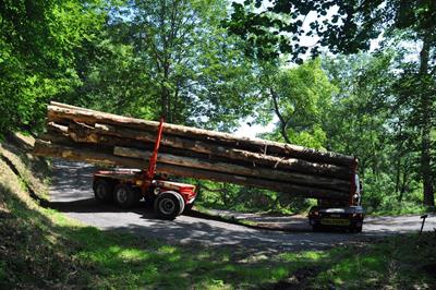 Palforet présente le nouveau projet
