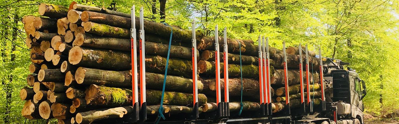 Discover our transport solutions for the forestry sector