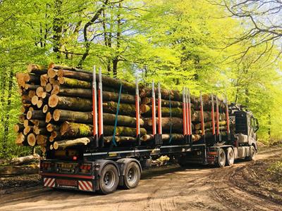 Ontdek onze transportoplossingen voor de bos- en houtsector